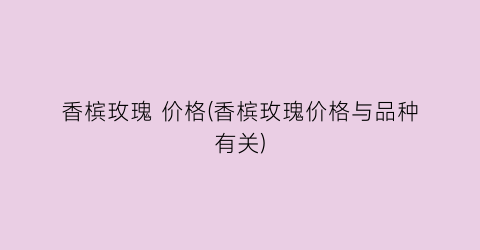 香槟玫瑰 价格(香槟玫瑰价格与品种有关)